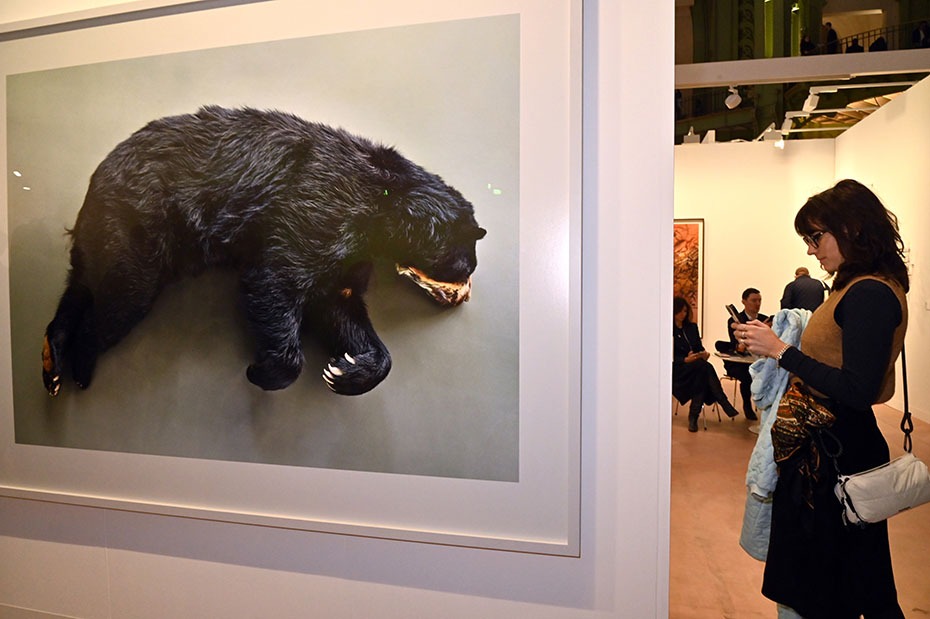 Faut pas vendre la peau de l'ours sans l'avoir avant dézippée