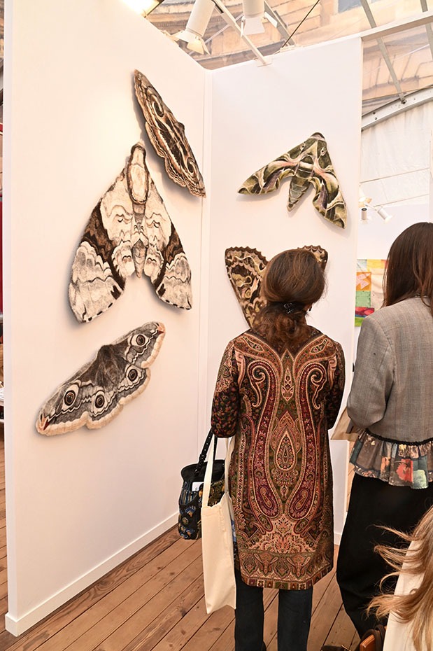 Un envol de papillon sauvages <flap flap