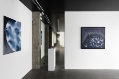 les grands formats de Jihee Han(gauche) et Danoo (face)