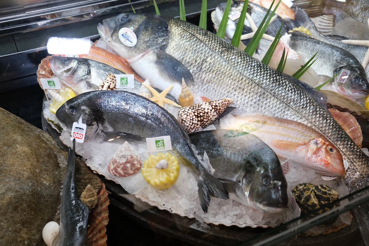 La pêche resplendit sous les voûtes du Grand Palais