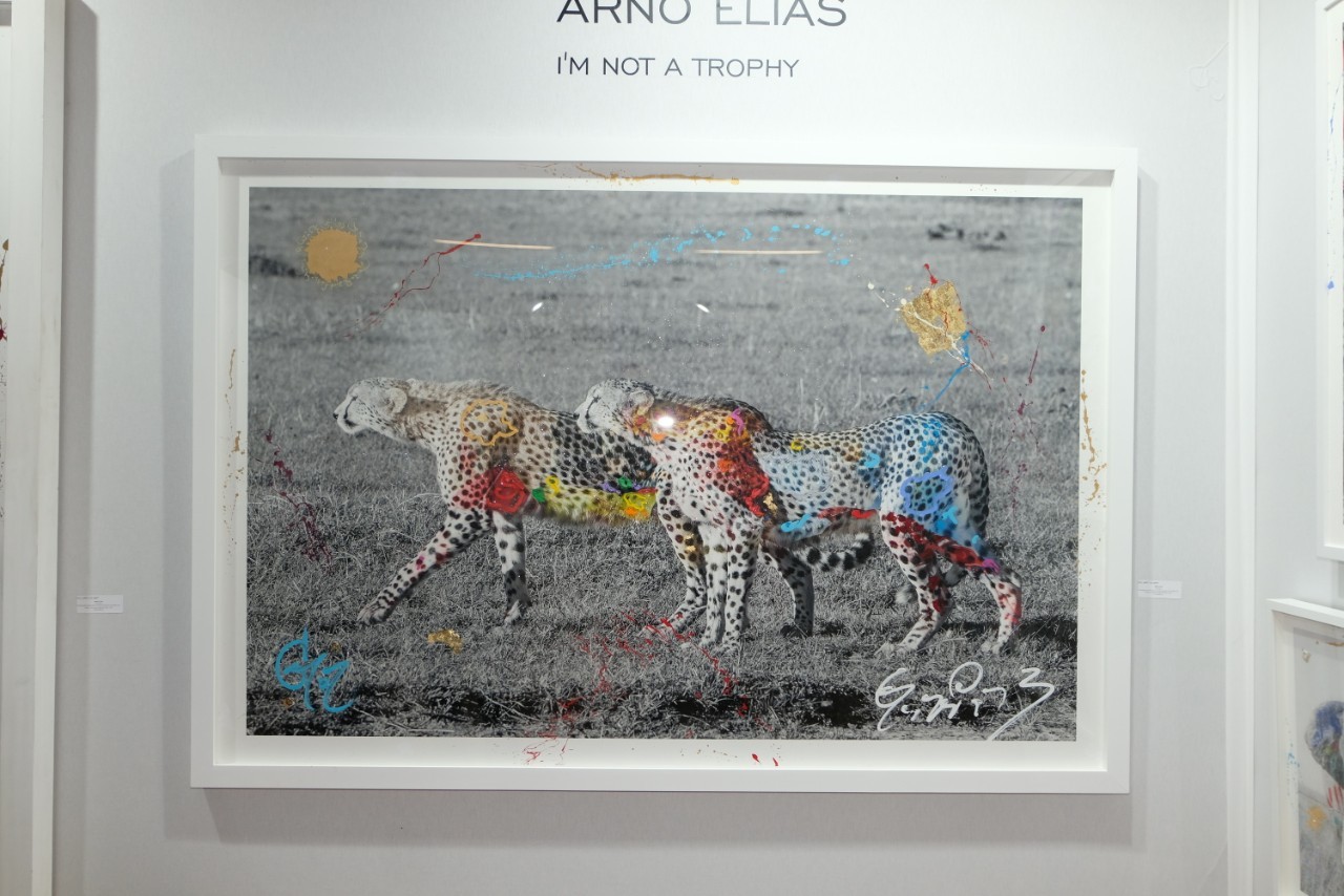 Arno Elias et ses fauves colorés