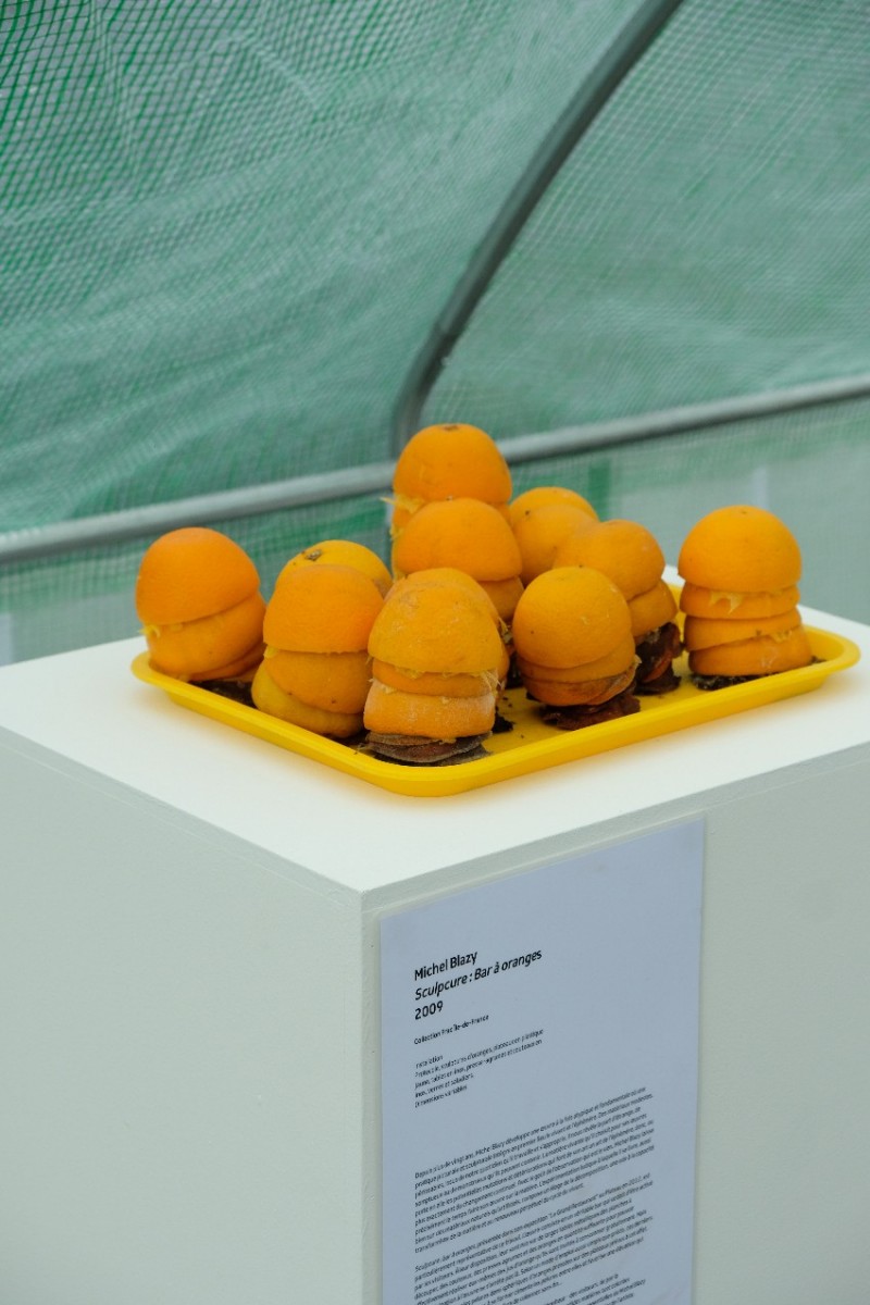 Une sculpture  faite de coque d'orange pressées.
