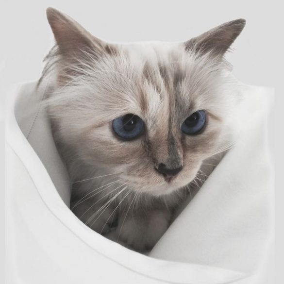 choupette milliardaire karl lagerfeld