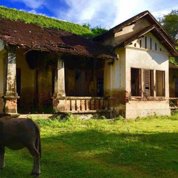 Laos zen bardos