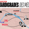 LEs Tardigrades Des médias