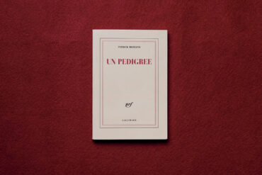 blanche vue par david desrimais